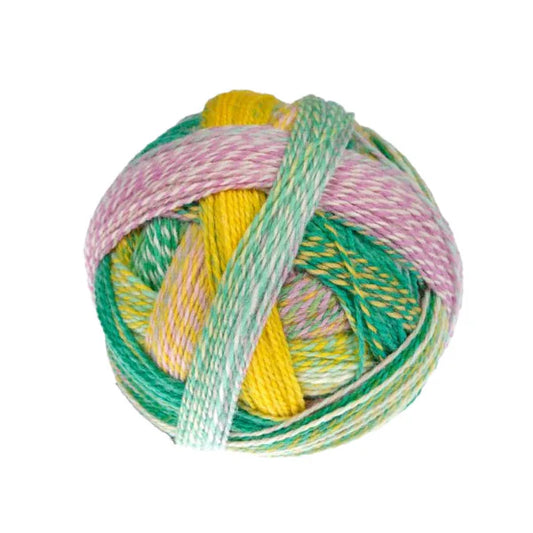 Schoppel Zauberball Crazy 4ply Sock Yarn