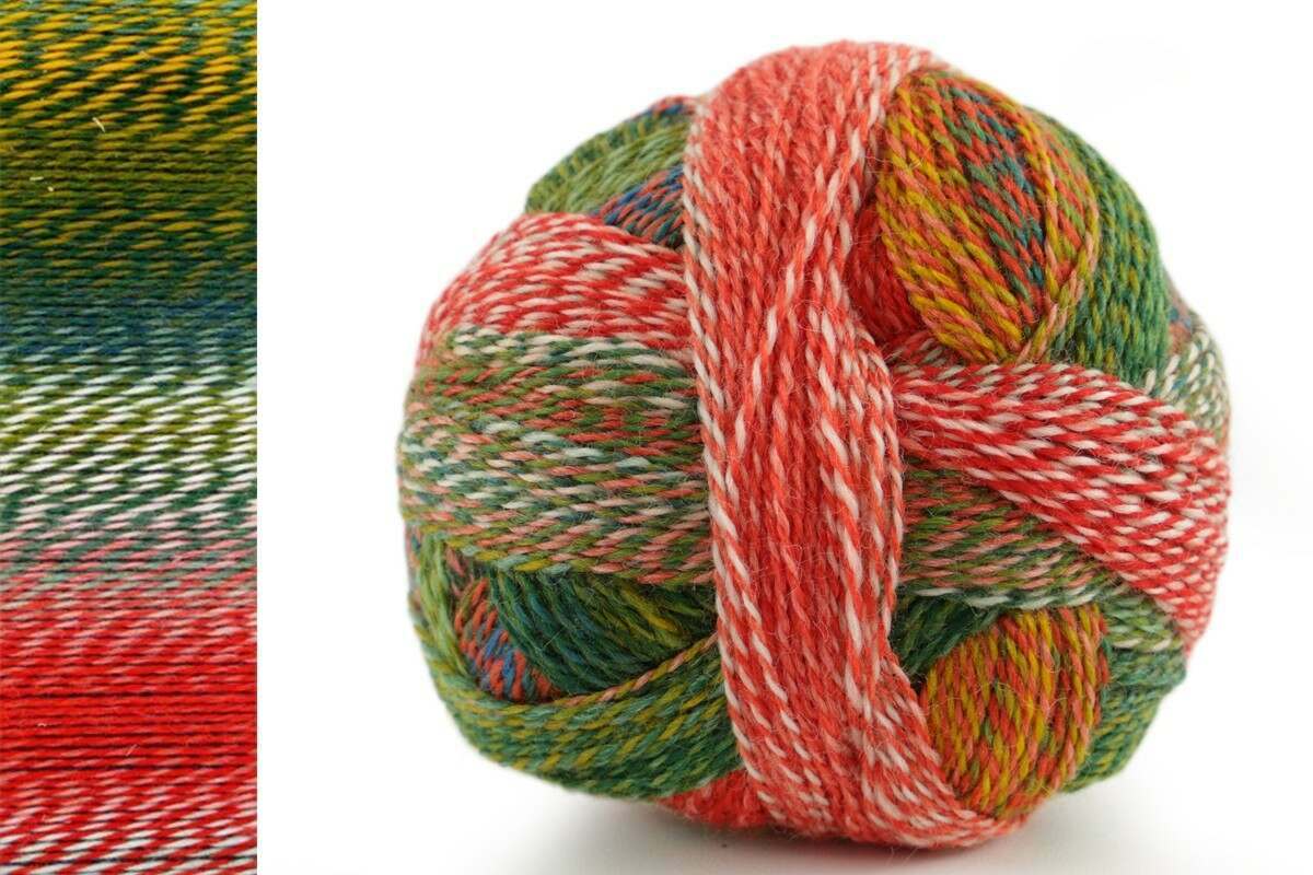 Schoppel Zauberball Crazy 4ply Sock Yarn