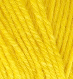 Countrywide Windsor 100% Pure New Wool - 8Ply